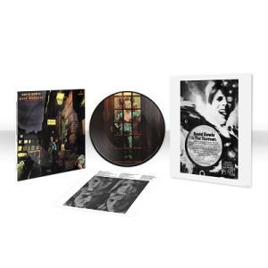 David Bowie The Rise and Fall of Ziggy Stardust an...