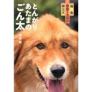 仲本剛 とんがりあたまのごん太 福島余命1カ月の被災犬 Book
