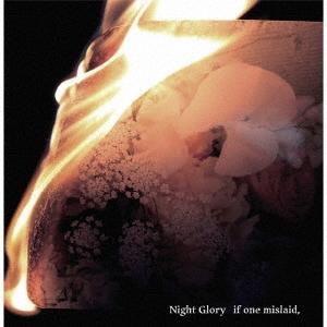 Night Glory if one mislaid, CD
