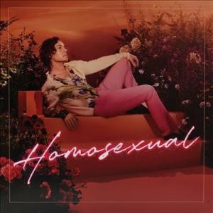 Darren Hayes Homosexual CD
