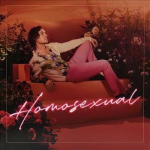 Darren Hayes Homosexual＜Turquoise Vinyl＞ LP