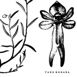 TARO NOHARA Poly-Time Soundscapes/Forest Of The Sh...