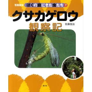 佐藤信治 クサカゲロウ観察記 写真絵本ぼくの庭にきた虫たち 7 Book