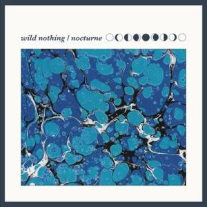 Wild Nothing Nocturne (10th Anniversary Edition)＜限...