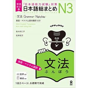 日本語総まとめ N3 文法 英語・ベトナム語訳 Book