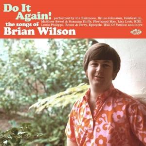 Various Artists Do It Again! The Songs Of Brian Wi...