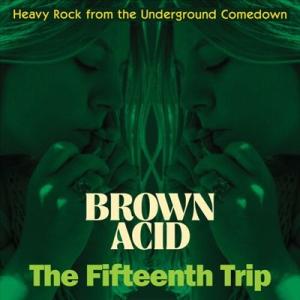 Various Artists Brown Acid: The Fifteenth Trip LP