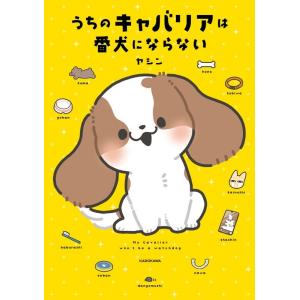 AI実装検定 公式テキスト ―A級― AI実装検定 公式テキスト- A級 - | 佐々木 淳, AI実装検定実行委員会