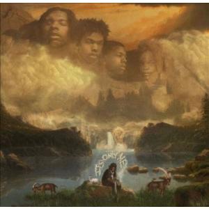 Lil Baby It's Only Me＜限定盤＞ LP