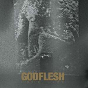 Godflesh Pure: Live CD