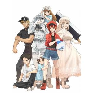 はたらく細胞 全13話+特別編BOXセット ブルーレイ【Blu-ray