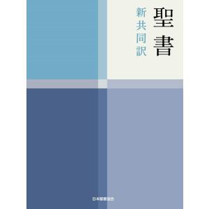 N115 聖書 新共同訳[小型]NI44 Book