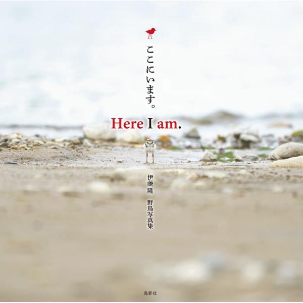 伊藤隆 Here I am. ここにいます。 伊藤隆 野鳥写真集 Book