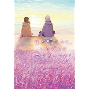 海に願いを風に祈りをそして君に誓いを/汐見夏衛 : bookfanプレミアム