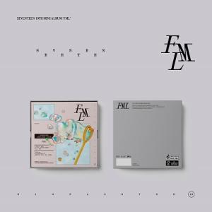SEVENTEEN SEVENTEEN 10th Mini Album CD  特典あり