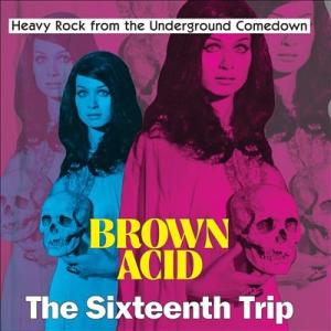 Various Artists Brown Acid: The Sixteenth Trip LP