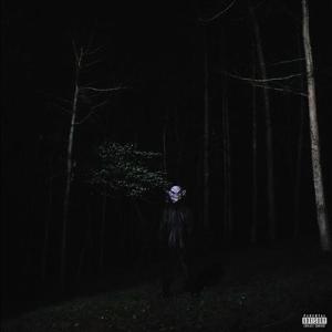 Destroy Lonely If Looks Could Kill CD