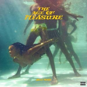 Janelle Monae The Age Of Pleasure CD