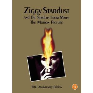 David Bowie Ziggy Stardust And The Spiders Form Ma...