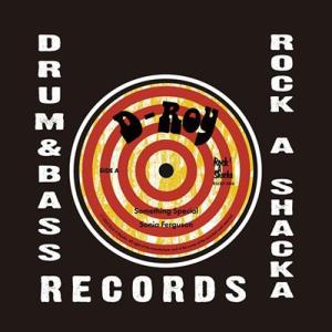 Sonia Ferguson SOMETHING SPECIAL 7inch Single