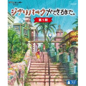マルグリット・デュラス Blu-ray BOX Disc : タワーレコード Yahoo!店