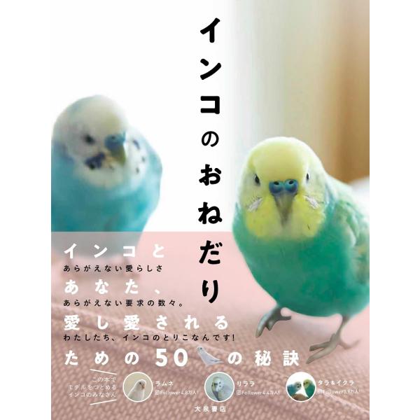 磯崎哲也 インコのおねだり Book