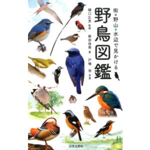 柴田佳秀 街・野山・水辺で見かける野鳥図鑑 Book