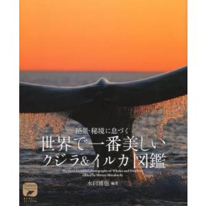 水口博也 世界で一番美しいクジラ&イルカ図鑑 絶景・秘境に息づく ネイチャー・ミュージアム Book