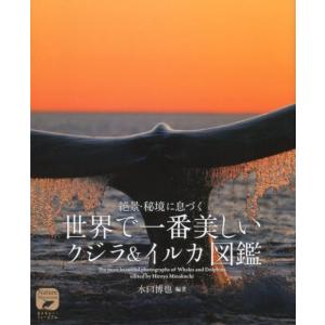 水口博也 世界で一番美しいクジラ&amp;イルカ図鑑 絶景・秘境に息づく ネイチャー・ミュージアム Book