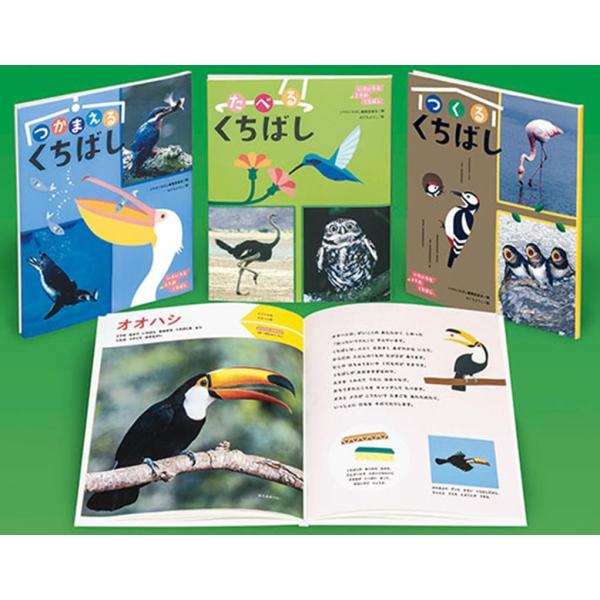 いろいろなとりのくちばし(全3巻) Book