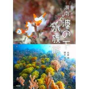 佐藤輝 湘南波の下水族館 Book