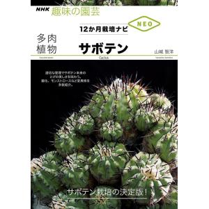 山城智洋 多肉植物サボテン NHK趣味の園芸 12か月栽培ナビNEO Book