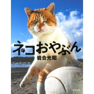 岩合光昭 ネコおやぶん Book