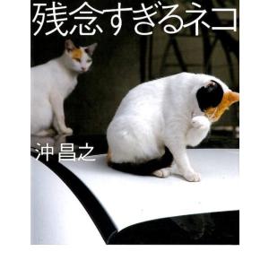 必死すぎるネコ 前後不覚篇 / 沖 昌之 著 : 京都 大垣書店オンライン