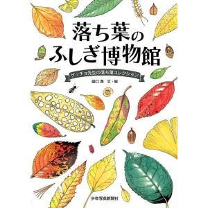 盛口満 落ち葉のふしぎ博物館 ゲッチョ先生の落ち葉コレクション Book