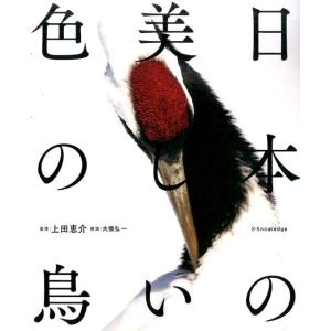 大橋弘一 日本の美しい色の鳥 Book
