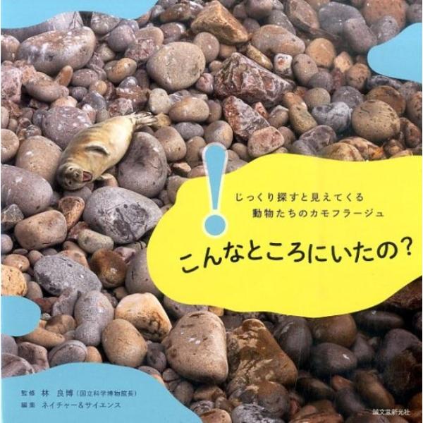 ネイチャー&amp;サイエンス こんなところにいたの? じっくり探すと見えてくる動物たちのカモフラージュ B...