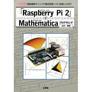 大川善邦 「Raspberry Pi2」でMathematicaプログ 「超低価格マシン」で「数式処...