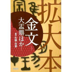 描写の芸術 一七世紀のオランダ絵画／スヴェトラーナ アルパース／輝