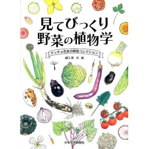 盛口満 見てびっくり野菜の植物学 ゲッチョ先生の野菜コレクション Book