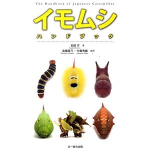小学館の図鑑NEO 図鑑のみ 自由研究　虫　昆虫2 イモムシとケムシ　魚 イモムシとケムシ DVDつき | 小学館の図鑑NEOシリーズ | 小学館
