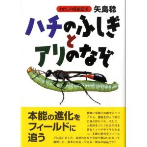 矢島稔 わたしの昆虫記 6 Book