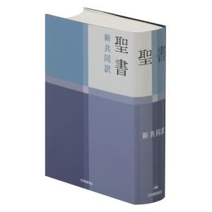聖書 新改訳2017 大型スタンダード　引照・注付 聖書：新改訳2017 大型スタンダード版革装 引照・注付き / 古本、中古