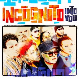 Incognito イントゥ・ユー CD