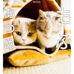 五十嵐健太 もふあつめ 映画「ねこあつめの家」Official Photo Book Book