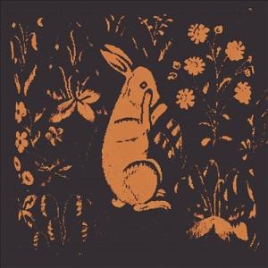 Sadness Rabbit Album LP