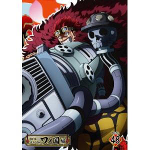 ONE PIECE ワンピース 20THシーズン ワノ国編 piece.48/アニメーション