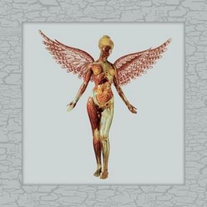 Nirvana In Utero (30th Anniversary)(Super Deluxe Edition) LP｜tower