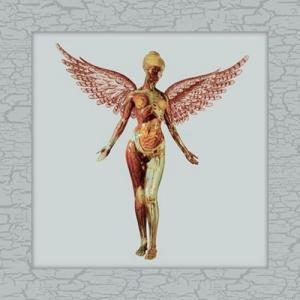 Nirvana In Utero (30th Anniversary)(Super Deluxe E...
