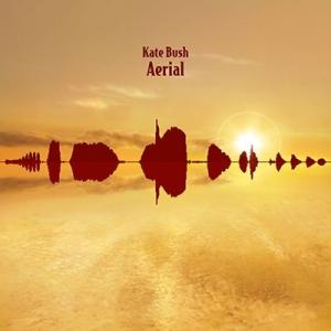 Kate Bush Aerial (2018 Remaster) CD